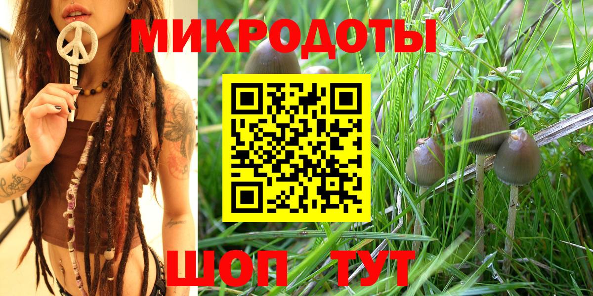 Псилоцибиновые грибы Psilocybe  Вход с VPN  даркнет сайт  Корсаков 