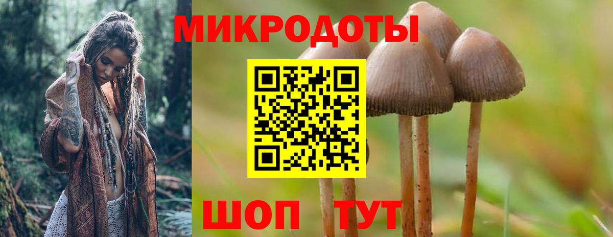 Псилоцибиновые грибы Magic Shrooms Корсаков